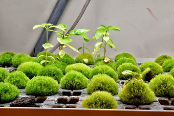 WhatsApp Image 2021-08-24 at 9.46.42 AM (1).jpeg