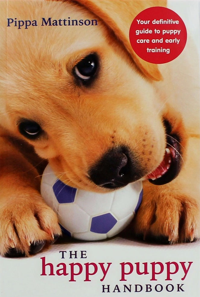 Best Puppy Training Books (2024)