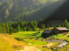 Top Dog Friendly Cottages in the UK