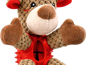 Christmas Dog Toys & Treats
