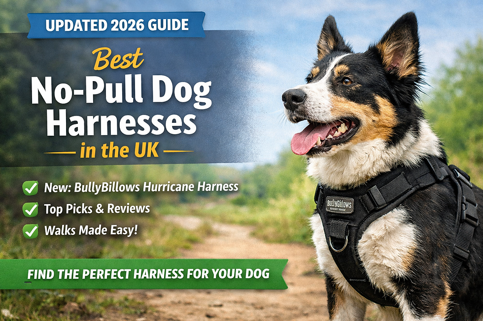 Dog wearing a black harness in a scenic outdoor setting. Text promotes the best no-pull dog harnesses in the UK for 2026.