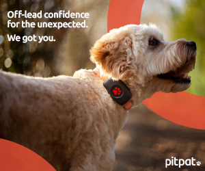 PitPat GPS Tracker Review