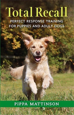 Recall your dog, every time.