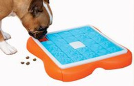 Nina Ottosson Dog Puzzle