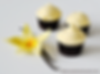 6 Cupcakes de Vainilla