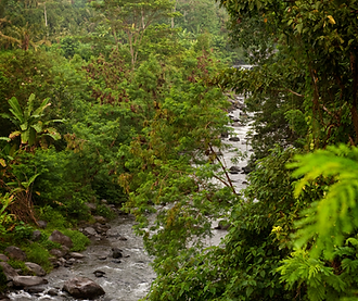 Rivière Nyanyi.png