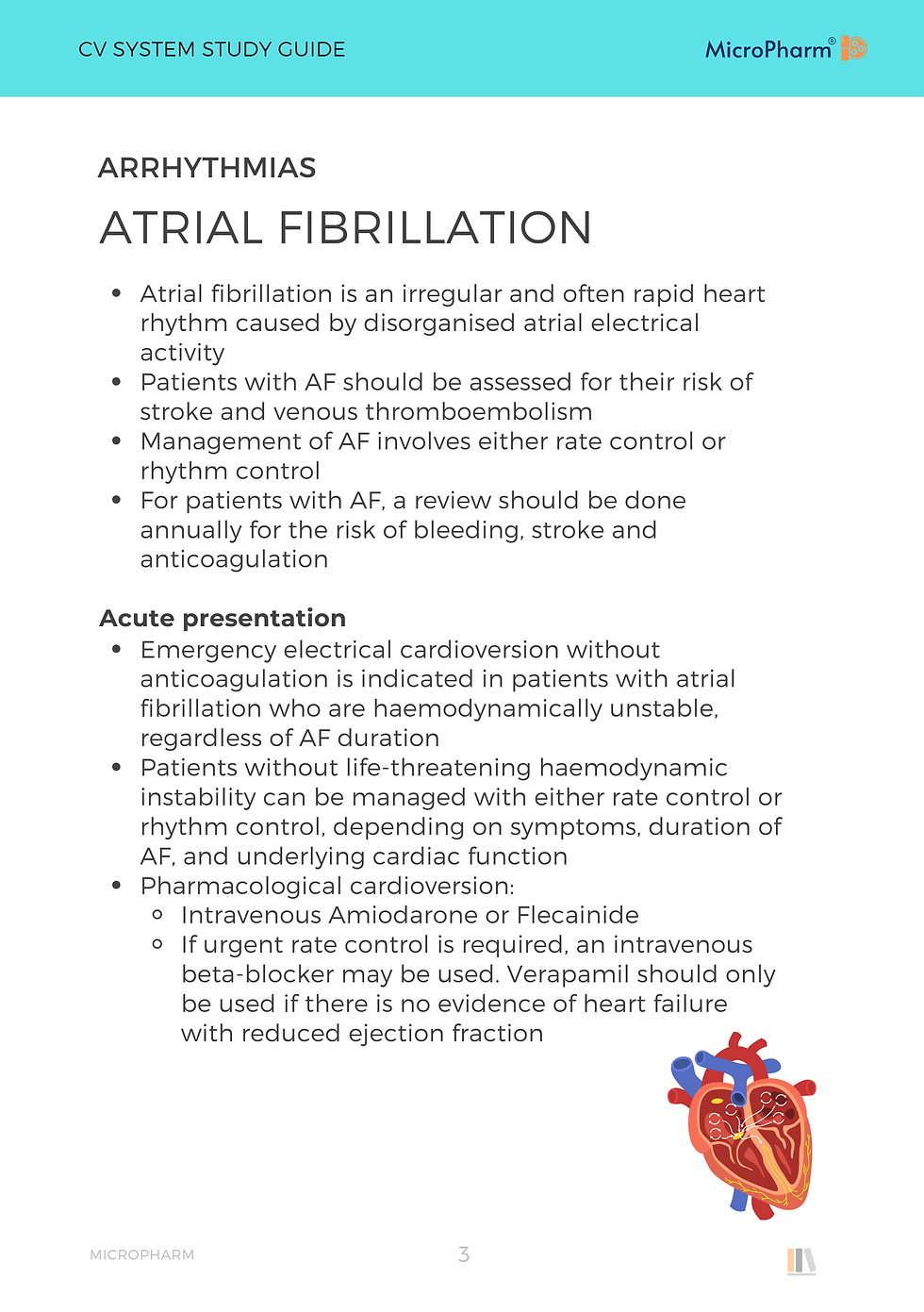 Thumbnail: Cardiovascular System Study Guide