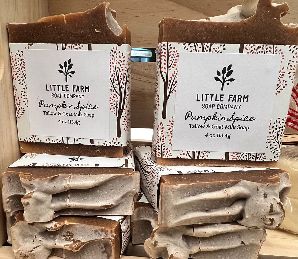 Pumpkin Spice Goats Milk & Tallow Soap
