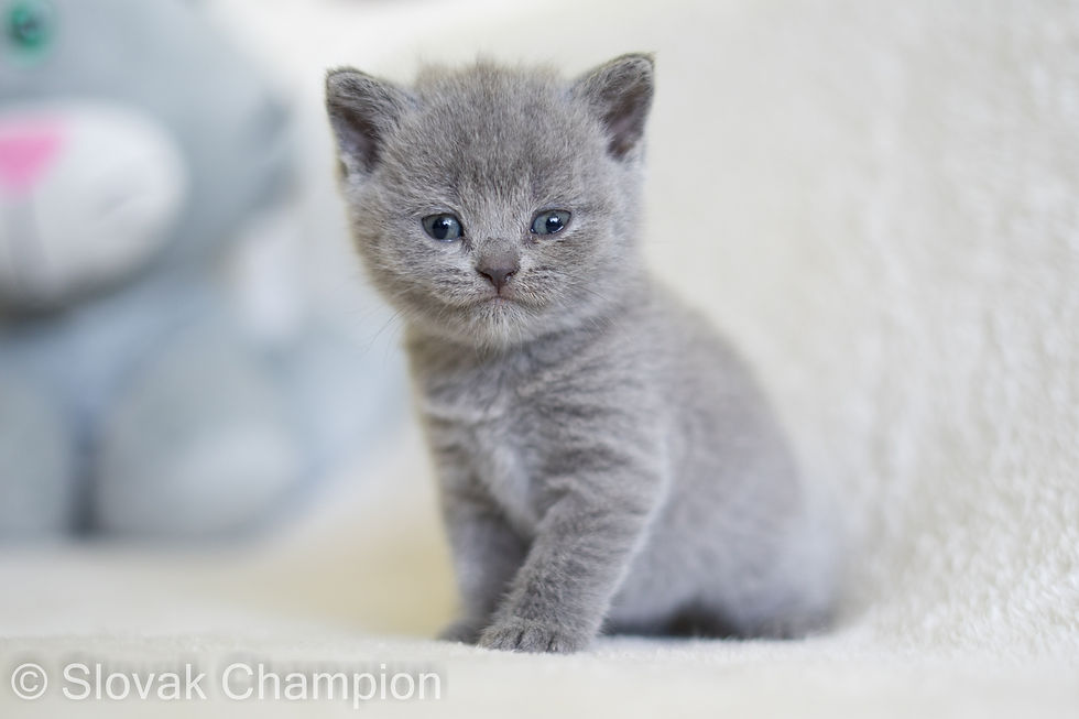 Chloe