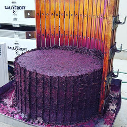shiraz cake