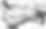 AdobeStock_804675231_edited_edited.jpg