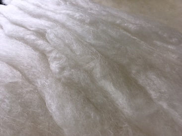 silk 富岡