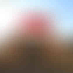 Fall pumpkin photos in Houston