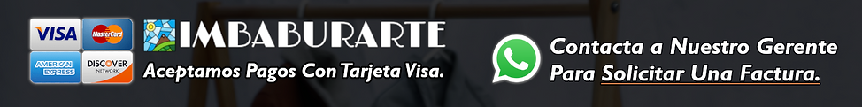 visa mb.png