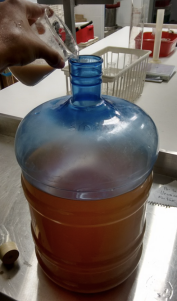 Fermentación
