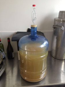 Fermentación