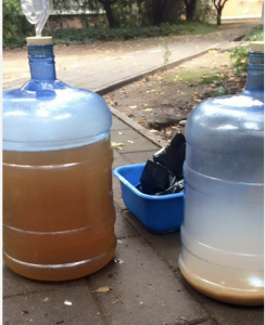 Fermentación