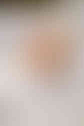 Bouquet Detailaufnahme – Editorial Brautpaarshooting Heidelberg