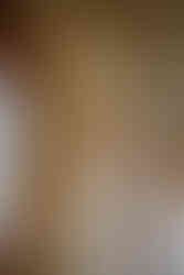 Brautpaar nach der standesamtlichen Trauung im Palais Heidelberg