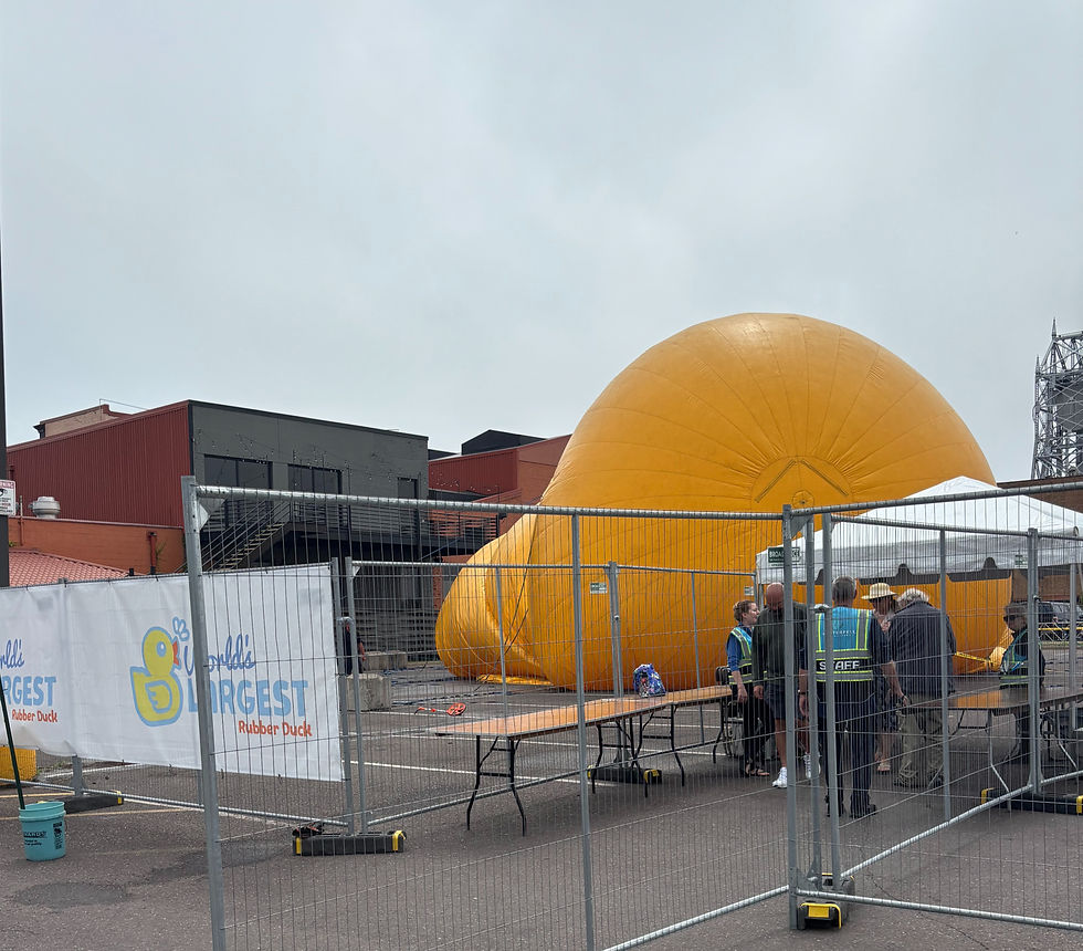 Mama Duck being inflated