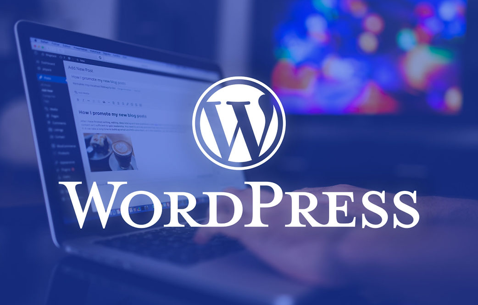 Utilizing WordPress to its Full Potential in zurich