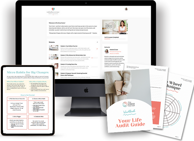 The Stress Factor - Mockup 2.png