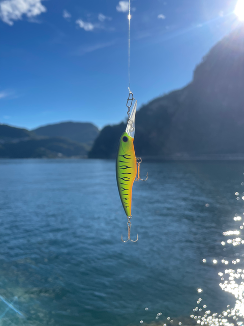 Wobbler Köder für das Spinnfischen auf Hecht und Barsch