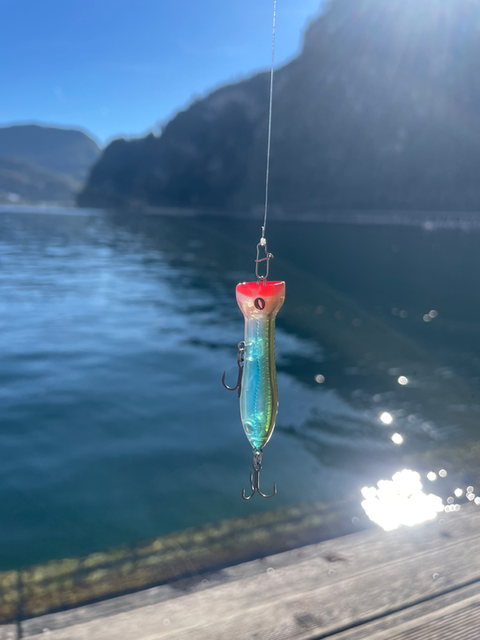 Oberflächenköder Popper für das Spinnfischen