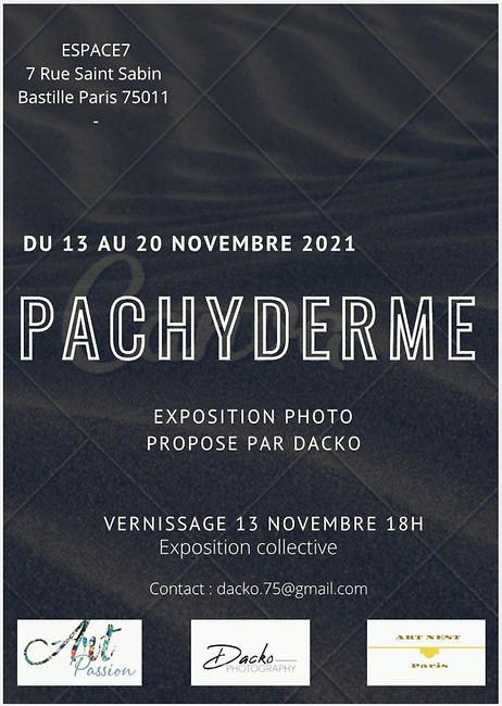 Pachyderme