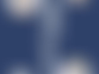 白宮虎々美　『大坂婦女子蒐集展』