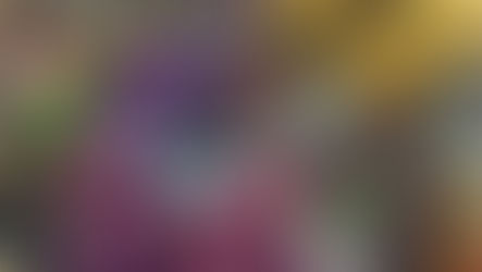 人鳥華　ミニ個展『画楼』