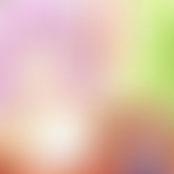 さよらなくろう　『ケモミミ日和』