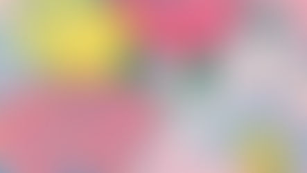 田口綾子　『春を纏う』