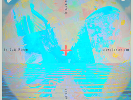 ING5　『MUSES ～In full bloom～』