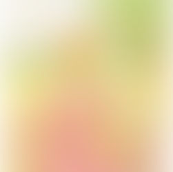 Mika Repos　『光が寄り添う場所』