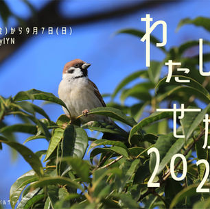 わたしのせかい 2025　2025年8月29日～9月7日