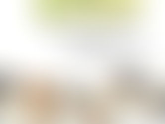 かもねぎかも　『初個展かも』