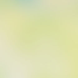 Naomi Tada　初個展『Angel piece』