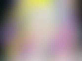 中本有紀　個展『The Heart's Palette』