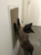 WhatsApp Image 2022-03-31 at 10.28.45