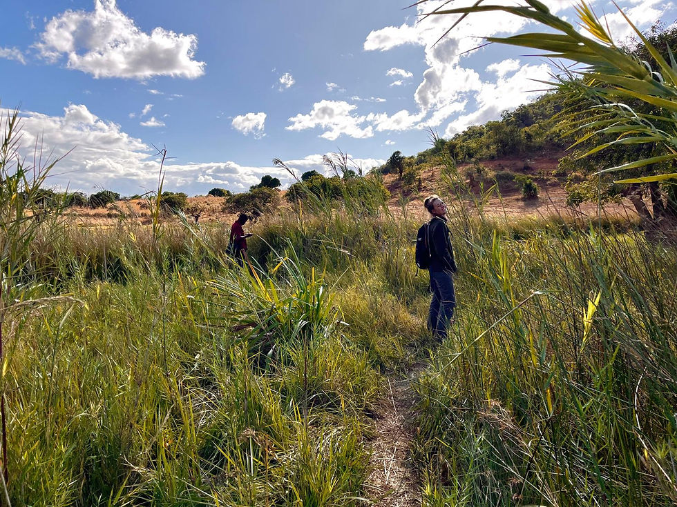 Field work completed in Mzimba Malawi