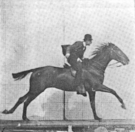 O Galope do Cavalo