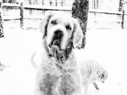 99FA0995-2F1C-4A3B-B7F8-590EB08F3B8F.jpeg