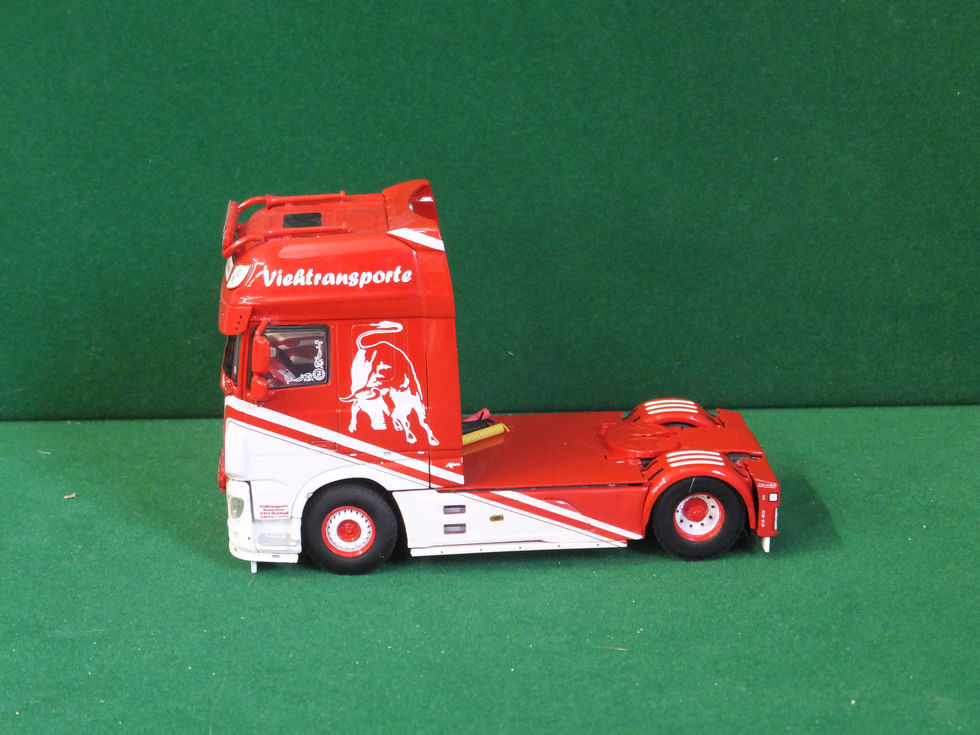 WSI THOMAS WERNER SIDE CAB