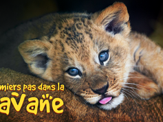 J-3 Une fois là bas, nouvelles au compte goutte,
peu de communications possibles !