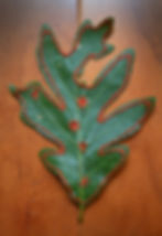 Embroidered Oak Leaf
