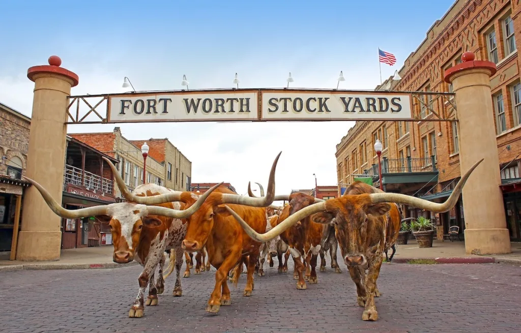 Visit Fort Worth