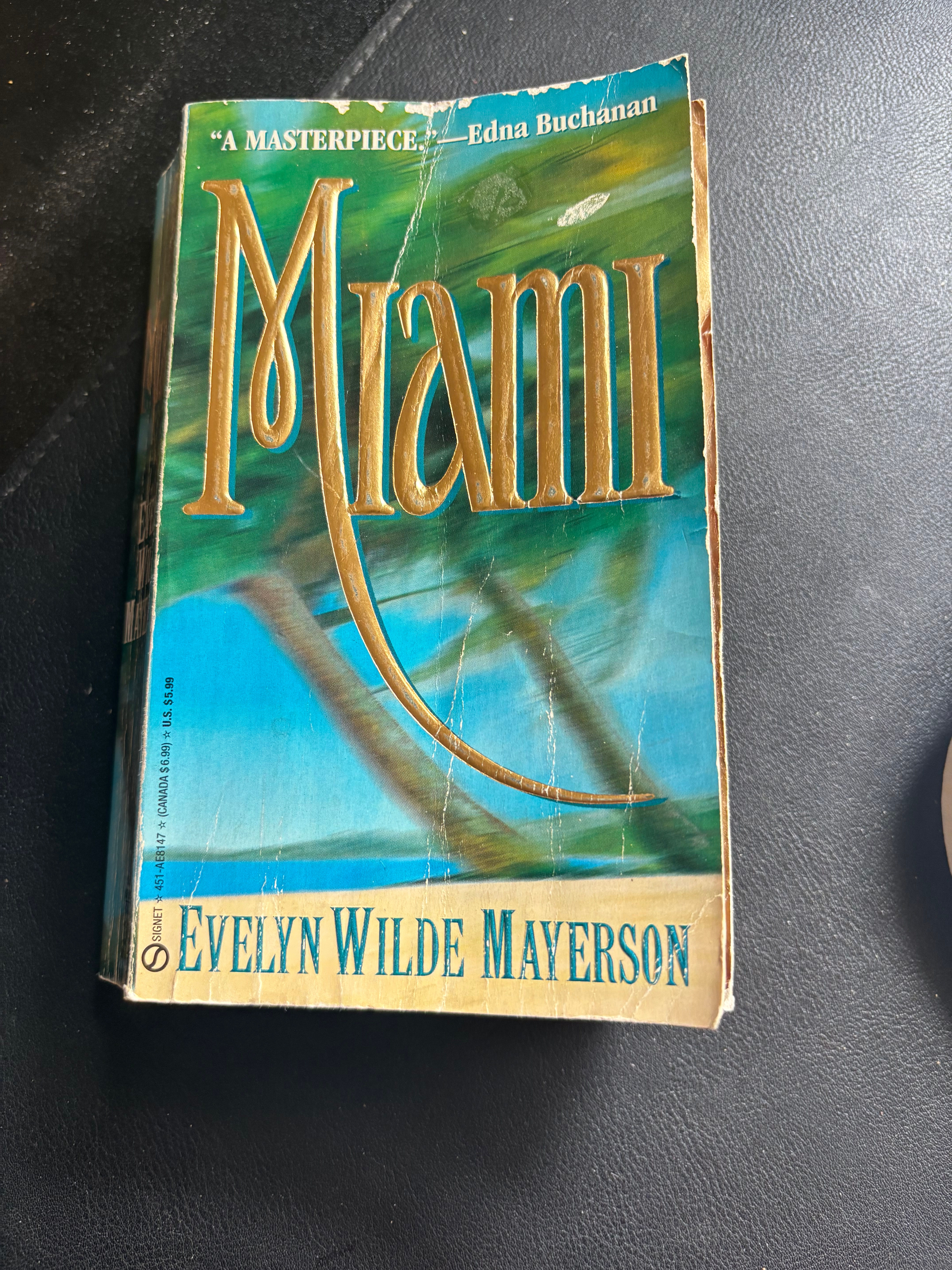 Miami by Evelyn Wilde Mayerson