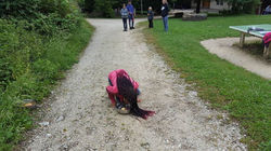 19060016_1430034500368305_79242038919354