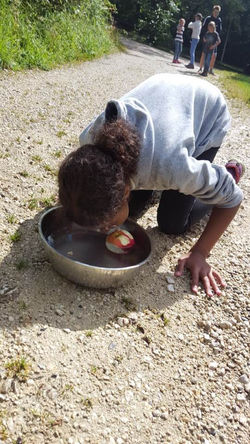 19105984_1430034737034948_66226896820096